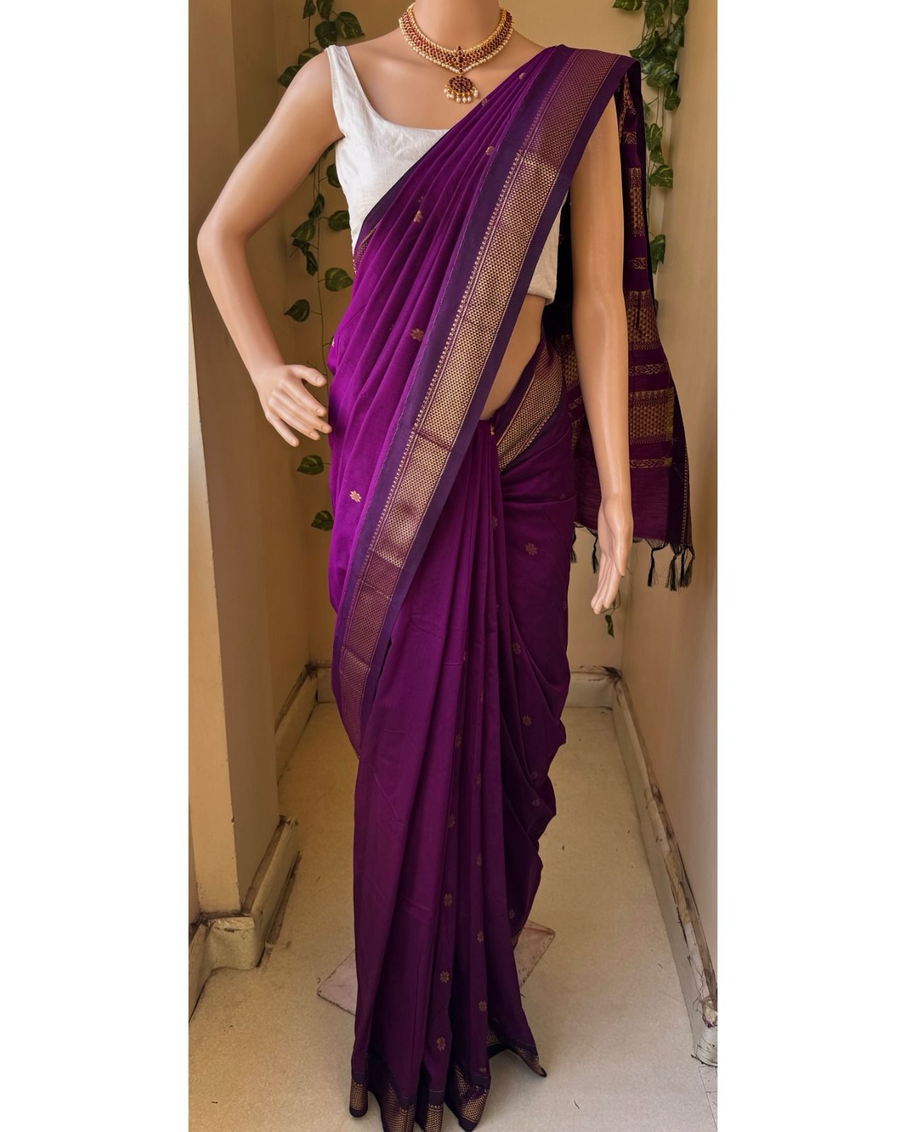 🌟✨ TFW New Launch – Saree Collection ✨🌟